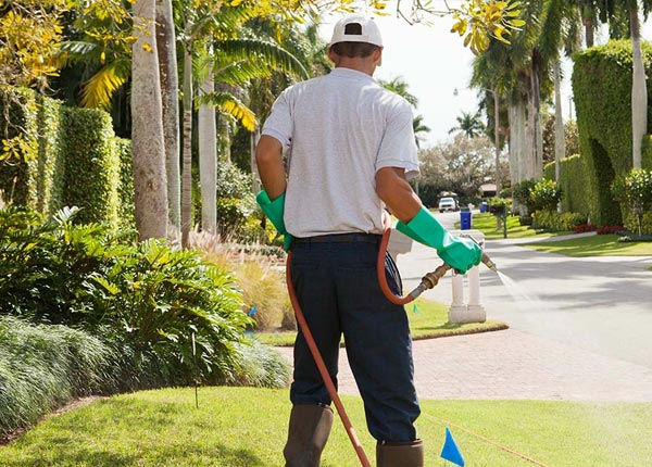 About Waverly Hall GA Pest Control Pros